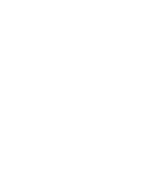 City of Skopje logo